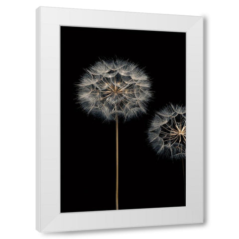 Make A Wish I White Modern Wood Framed Art Print by Frank, Assaf