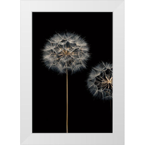 Make A Wish I White Modern Wood Framed Art Print by Frank, Assaf