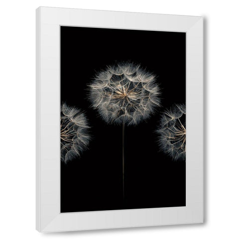 Make A Wish II White Modern Wood Framed Art Print by Frank, Assaf