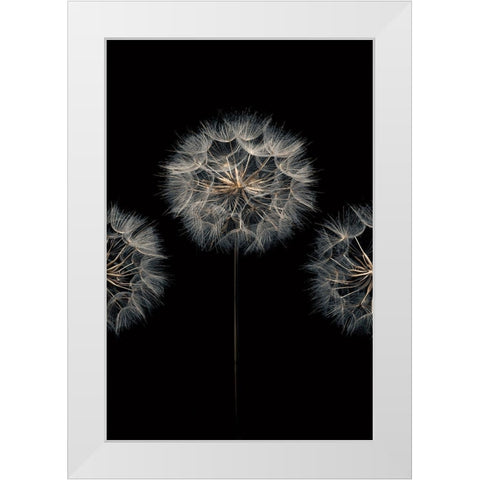 Make A Wish II White Modern Wood Framed Art Print by Frank, Assaf