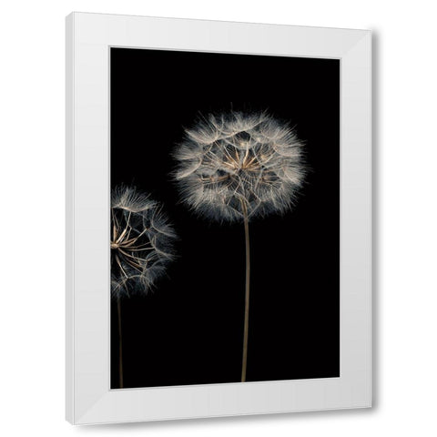 Make A Wish III White Modern Wood Framed Art Print by Frank, Assaf