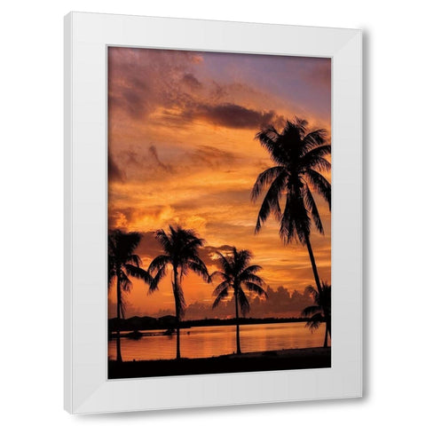 Tropical Sunsets B White Modern Wood Framed Art Print by Jones, Mike
