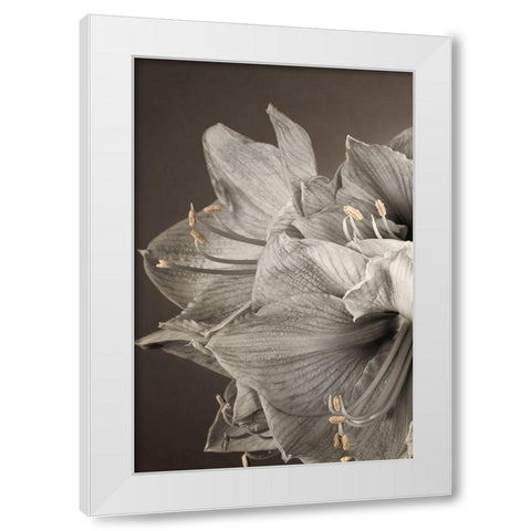 Grand Floral I White Modern Wood Framed Art Print by Frank, Assaf