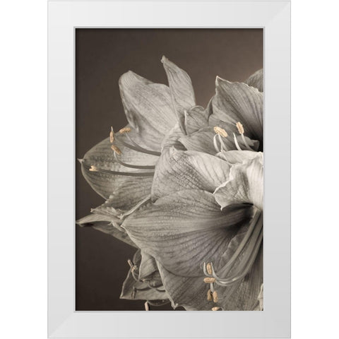 Grand Floral I White Modern Wood Framed Art Print by Frank, Assaf