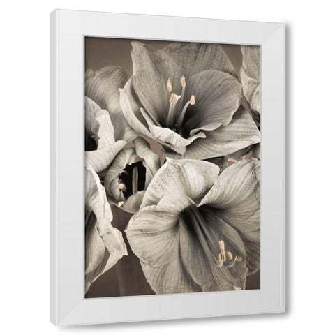 Grand Floral II White Modern Wood Framed Art Print by Frank, Assaf