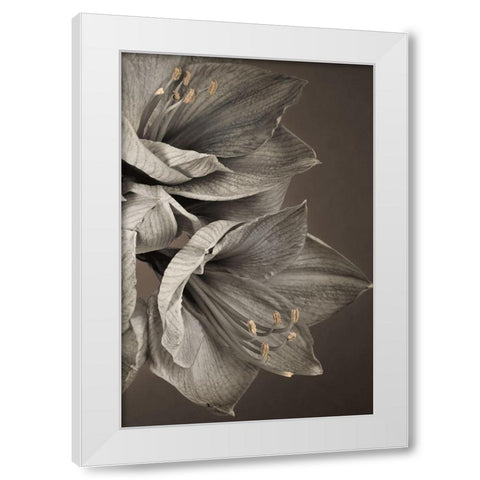 Grand Floral III White Modern Wood Framed Art Print by Frank, Assaf
