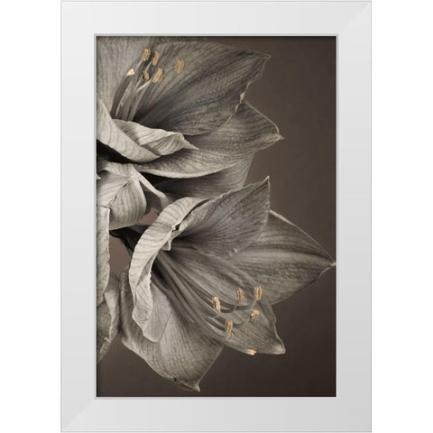 Grand Floral III White Modern Wood Framed Art Print by Frank, Assaf