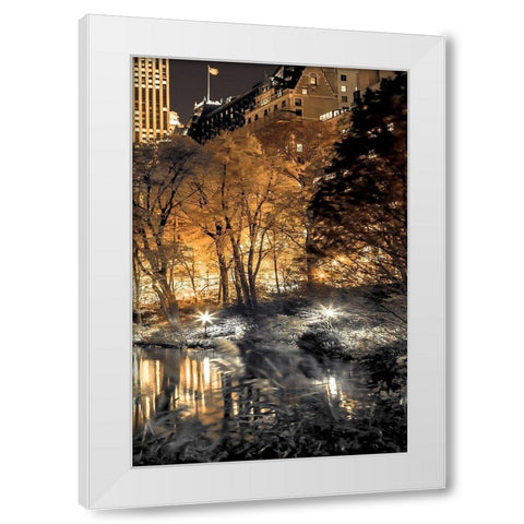 Central Park Glow III White Modern Wood Framed Art Print by Frank, Assaf