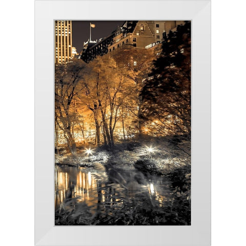 Central Park Glow III White Modern Wood Framed Art Print by Frank, Assaf