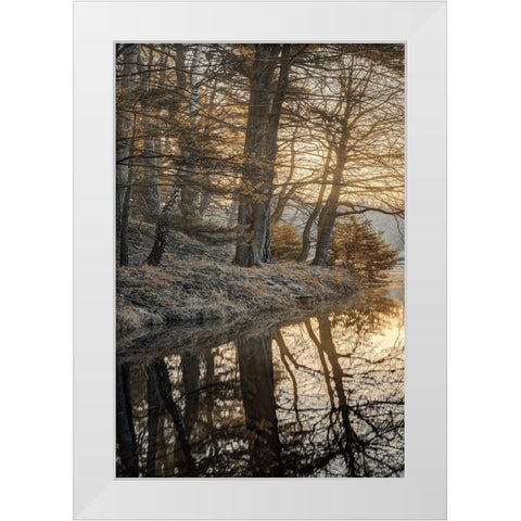 Frosty Morning I White Modern Wood Framed Art Print by Frank, Assaf