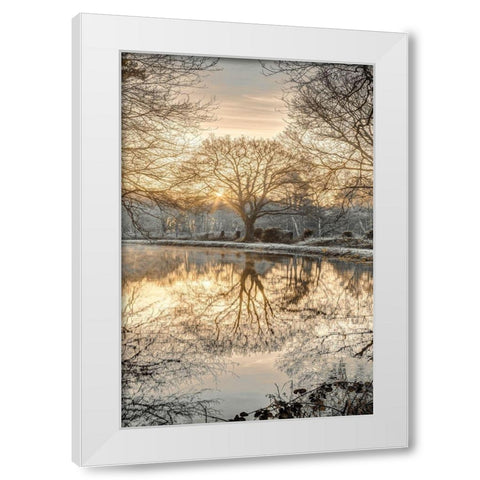 Frosty Morning II White Modern Wood Framed Art Print by Frank, Assaf
