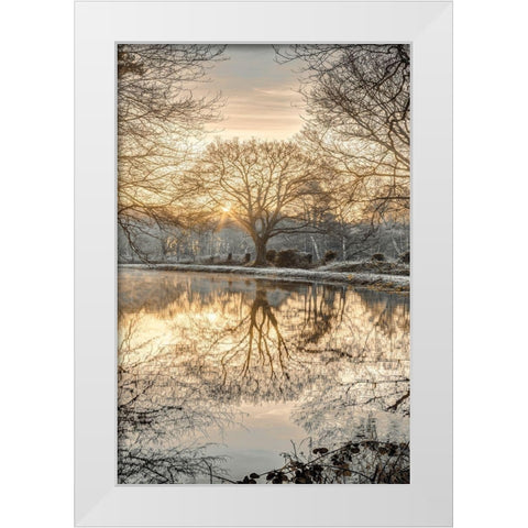 Frosty Morning II White Modern Wood Framed Art Print by Frank, Assaf