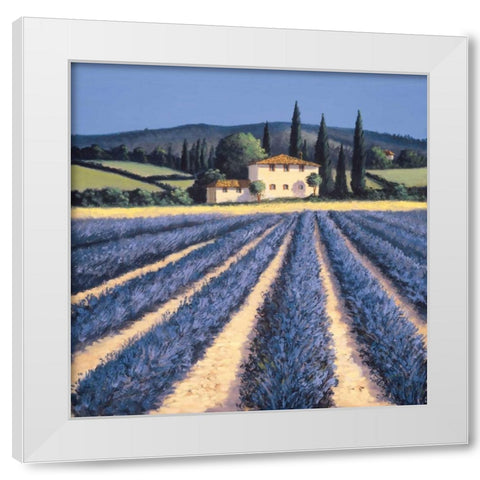 Colors of Summer White Modern Wood Framed Art Print by Short, David