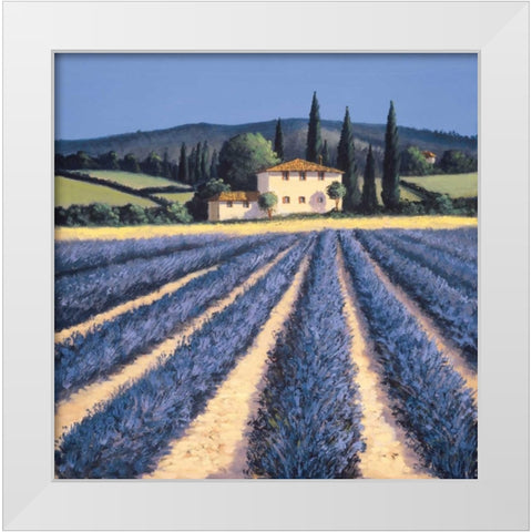 Colors of Summer White Modern Wood Framed Art Print by Short, David