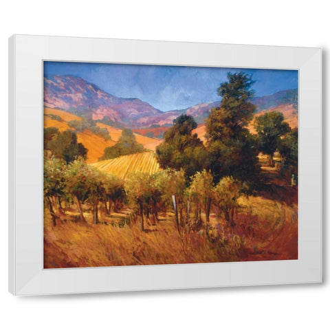 Southern Vineyard Hillside White Modern Wood Framed Art Print by Craig, Philip