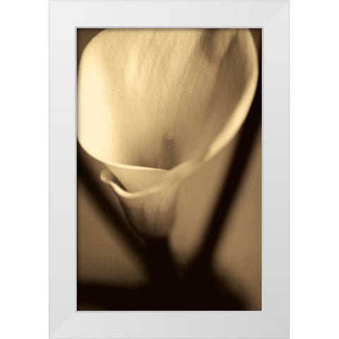 Divinity White Modern Wood Framed Art Print by Ryan, Cinzia