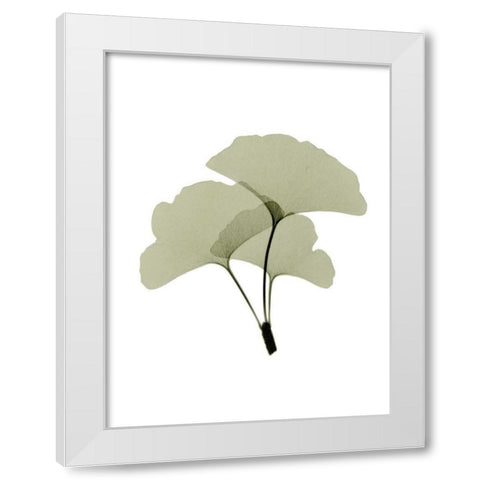 Ginko I White Modern Wood Framed Art Print by ACEE