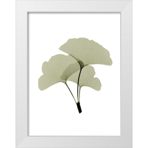 Ginko I White Modern Wood Framed Art Print by ACEE