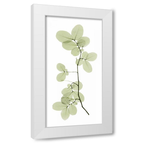 Myrtle Tree White Modern Wood Framed Art Print by ACEE