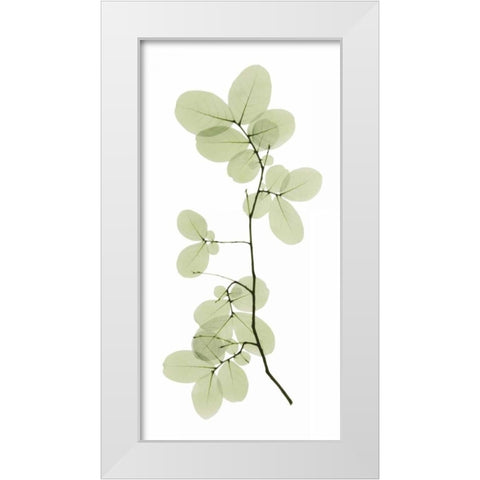 Myrtle Tree White Modern Wood Framed Art Print by ACEE