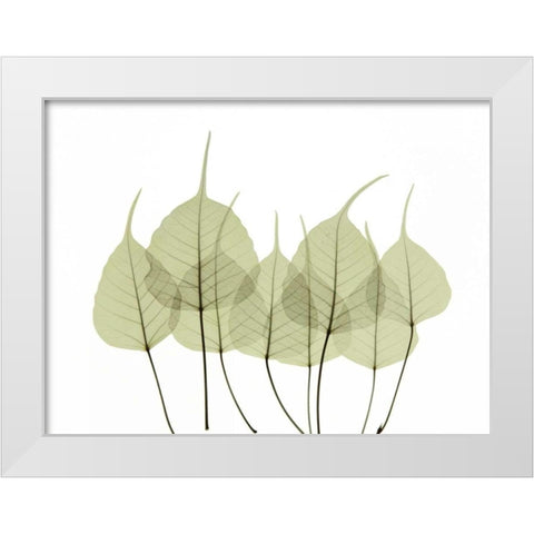 Woodlands I White Modern Wood Framed Art Print by ACEE