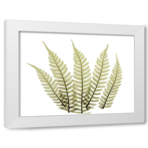 Woodlands II White Modern Wood Framed Art Print by ACEE