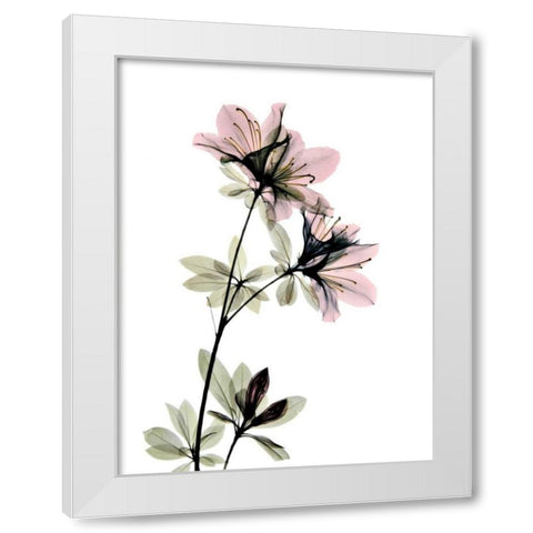 Azalea White Modern Wood Framed Art Print by ACEE