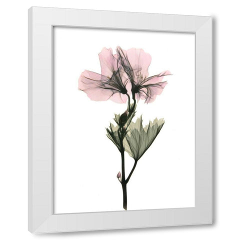 Geranium White Modern Wood Framed Art Print by ACEE
