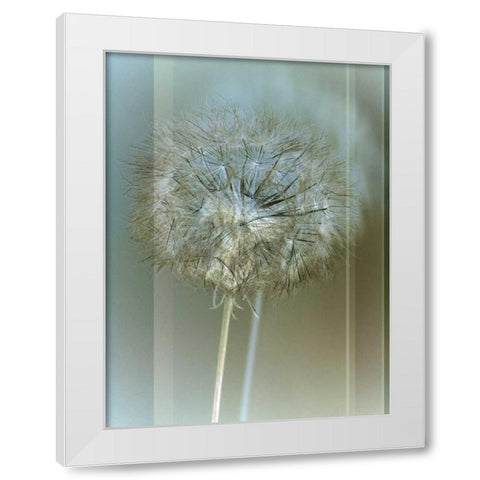Flaura II White Modern Wood Framed Art Print by Blake, W.