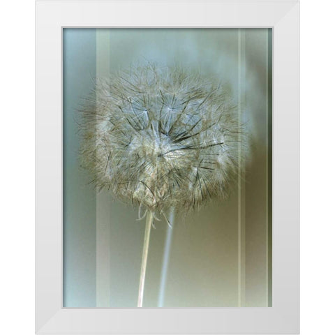 Flaura II White Modern Wood Framed Art Print by Blake, W.