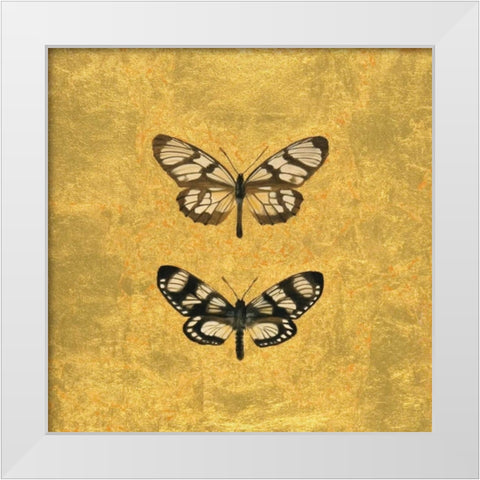 Pair of Butterflies on Gold White Modern Wood Framed Art Print by Charlotte, Joanna