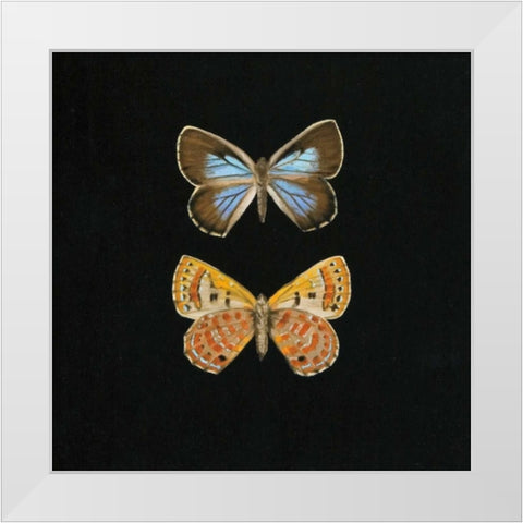 Pair of Butterflies on Black White Modern Wood Framed Art Print by Charlotte, Joanna
