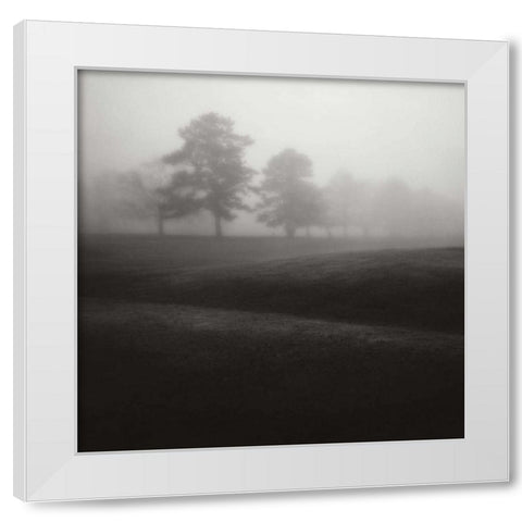 Fog Tree Study II White Modern Wood Framed Art Print by Cook, Jamie