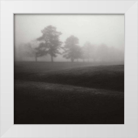 Fog Tree Study II White Modern Wood Framed Art Print by Cook, Jamie