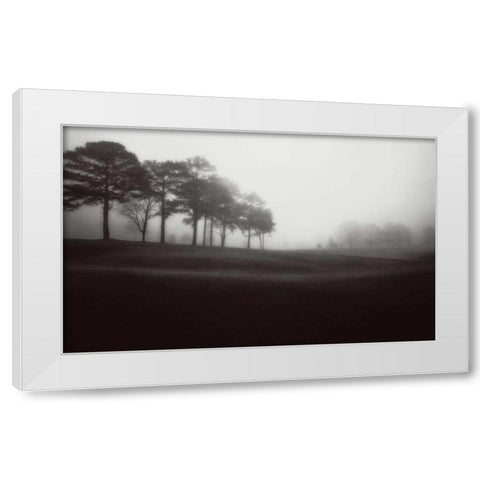 Fog Tree Study III White Modern Wood Framed Art Print by Cook, Jamie