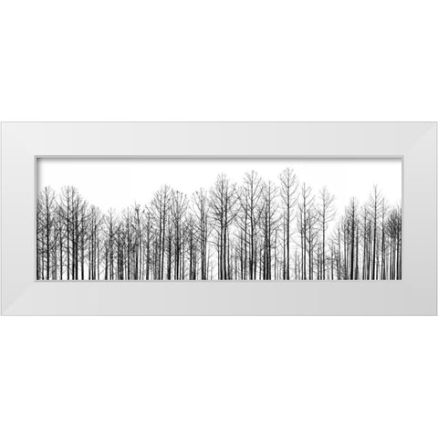 Straightforward White Modern Wood Framed Art Print by Cook, Jamie