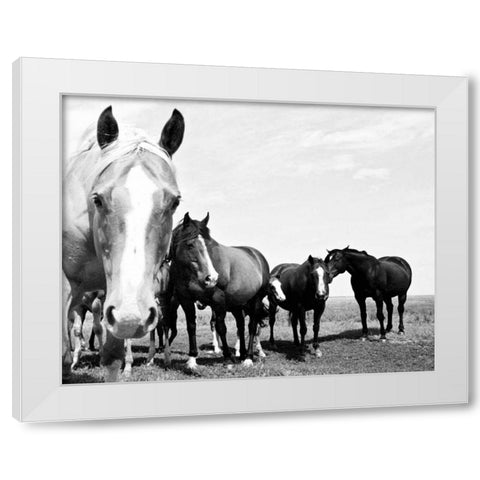 Wild Whispers I White Modern Wood Framed Art Print by Corpeny, Peggy