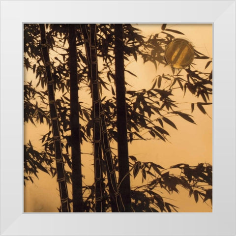 Shadow Play II White Modern Wood Framed Art Print by Endo, Madeleine