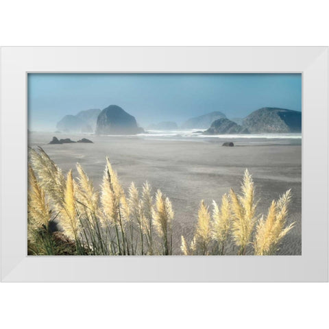 Pampas Beach White Modern Wood Framed Art Print by Frates, Dennis