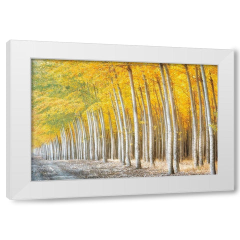 Gold Alley White Modern Wood Framed Art Print by Frates, Dennis