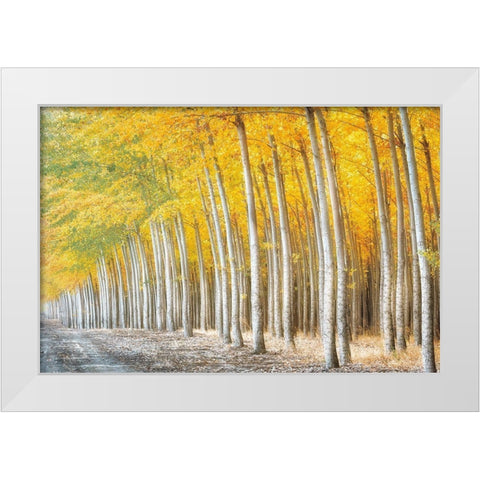 Gold Alley White Modern Wood Framed Art Print by Frates, Dennis