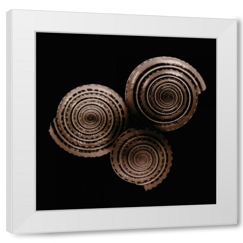 Sundials White Modern Wood Framed Art Print by Faragher, Michael