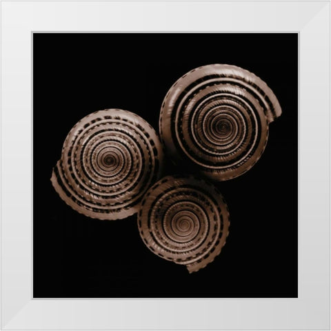 Sundials White Modern Wood Framed Art Print by Faragher, Michael