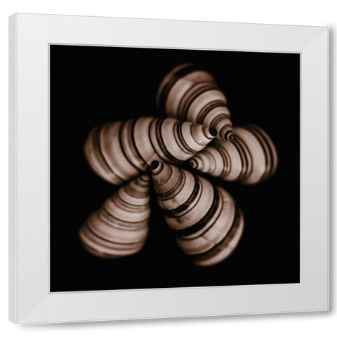 Focus White Modern Wood Framed Art Print by Faragher, Michael