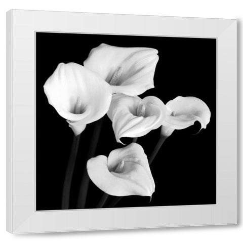Harmony White Modern Wood Framed Art Print by Faragher, Michael