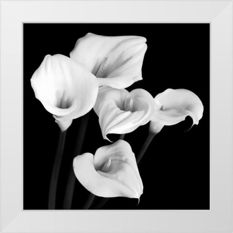 Harmony White Modern Wood Framed Art Print by Faragher, Michael