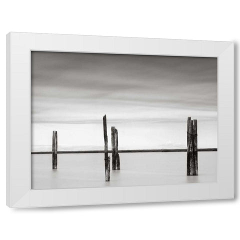 Cluster of Posts II White Modern Wood Framed Art Print by Hislop, Lawrence