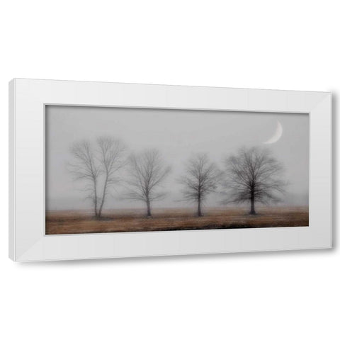 Early December White Modern Wood Framed Art Print by Jacks, Heather