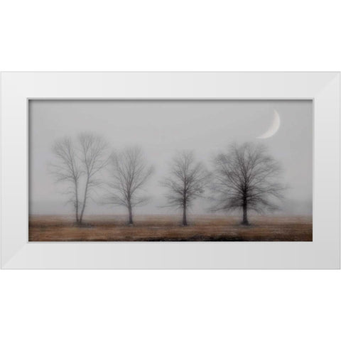 Early December White Modern Wood Framed Art Print by Jacks, Heather