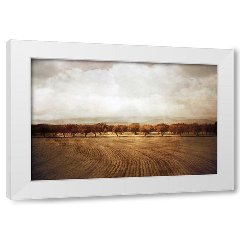 The Olive Grove White Modern Wood Framed Art Print by Jacks, Heather
